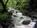 More creek views.